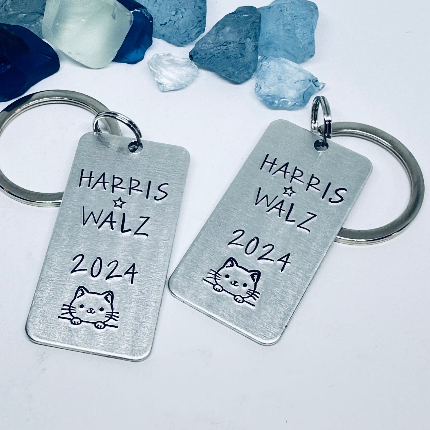 Kamala Harris Tim Walz | Democratic Nominees | Vote 2024 | Presidential Race | Cat Lady | We’re Not Going Back - Hand Stamped Keyring Keychain