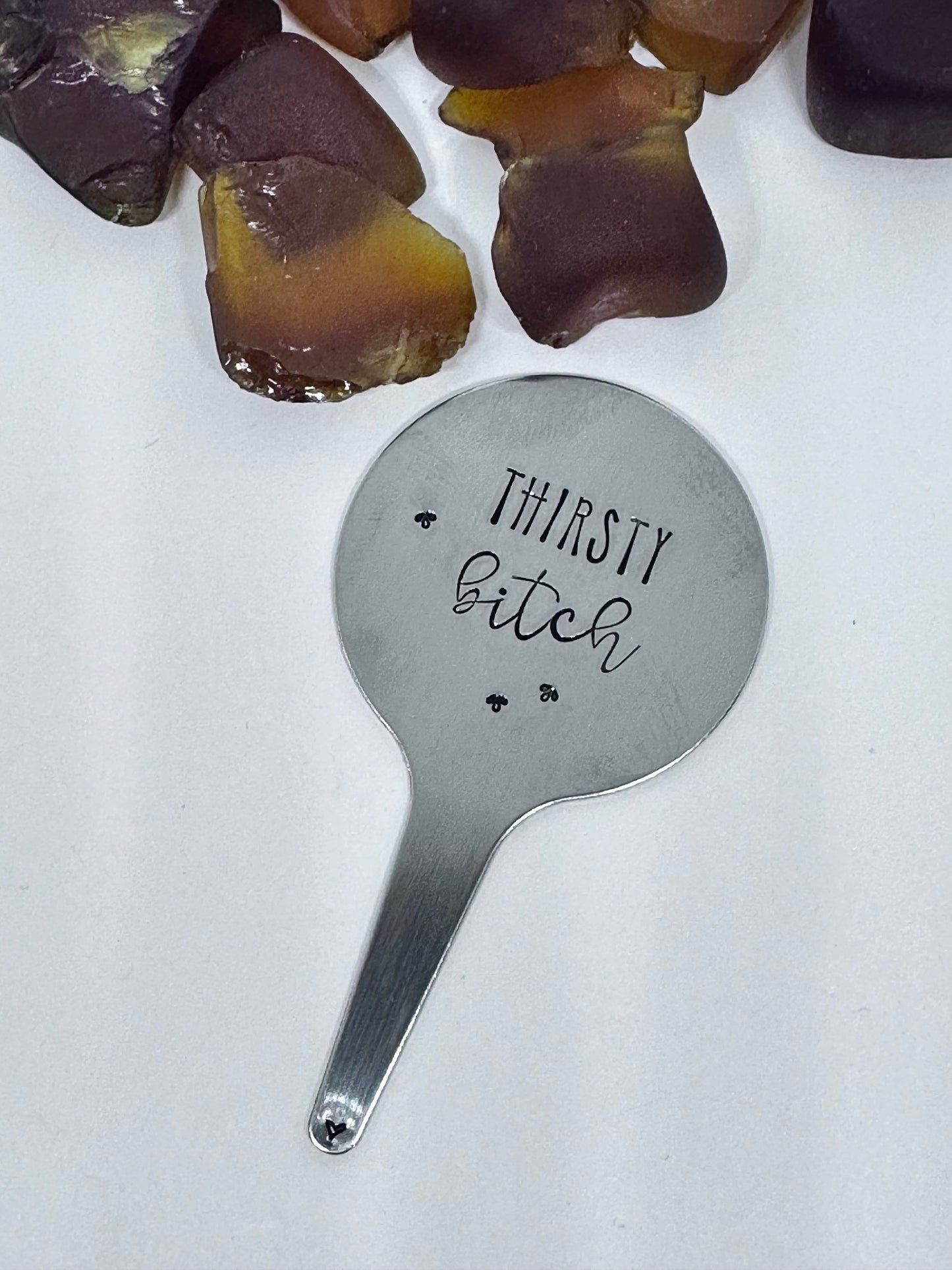 Plant Stake | Hand Stamped Stainless Steel | Adult Humor | Horticultural Gift | Plant Lover | Cactus Plant Accessory