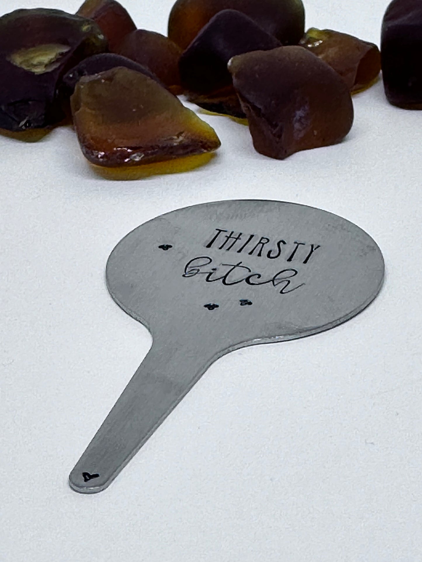 Plant Stake | Hand Stamped Stainless Steel | Adult Humor | Horticultural Gift | Plant Lover | Cactus Plant Accessory