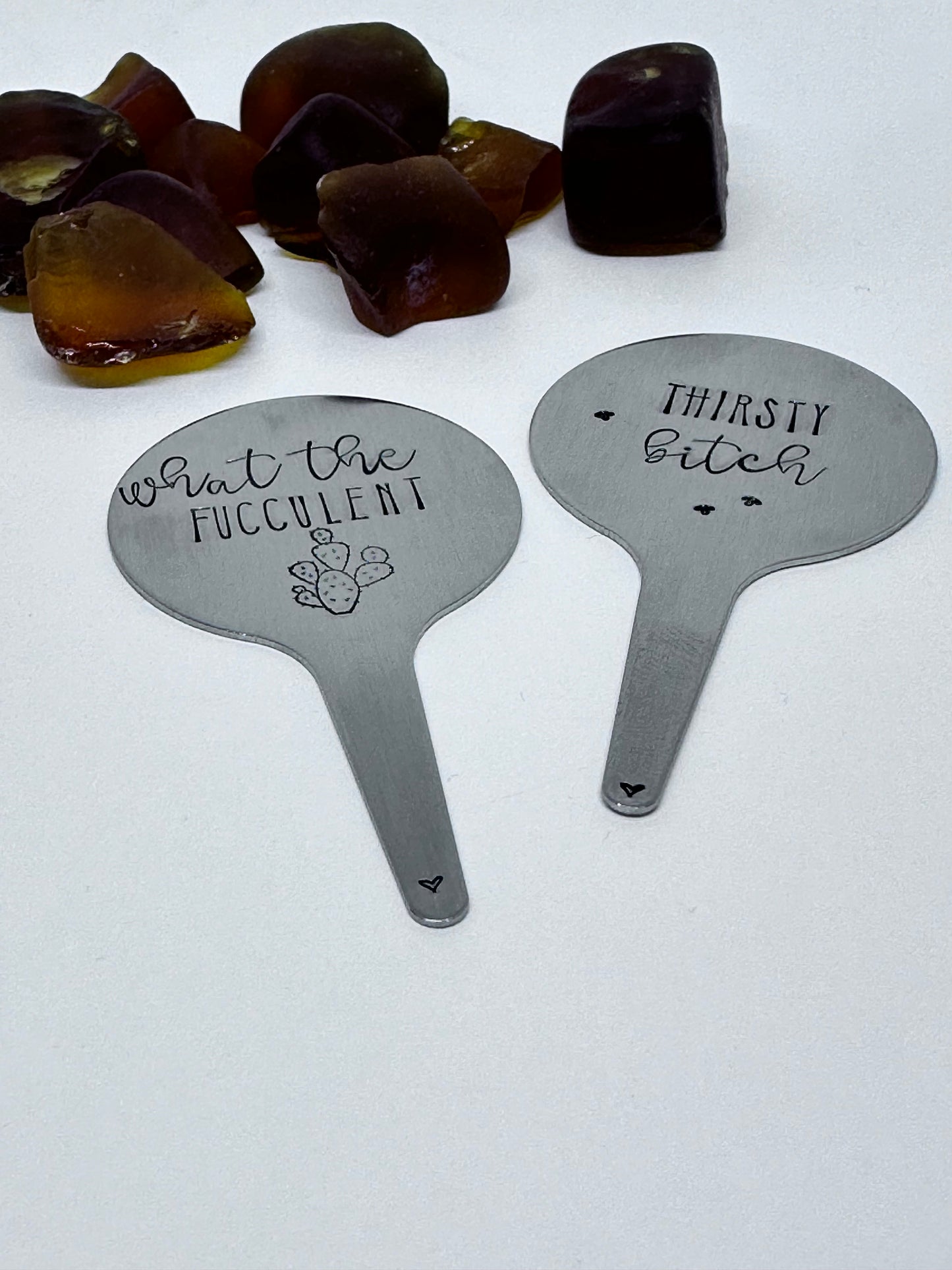 Plant Stake | Hand Stamped Stainless Steel | Adult Humor | Horticultural Gift | Plant Lover | Cactus Plant Accessory