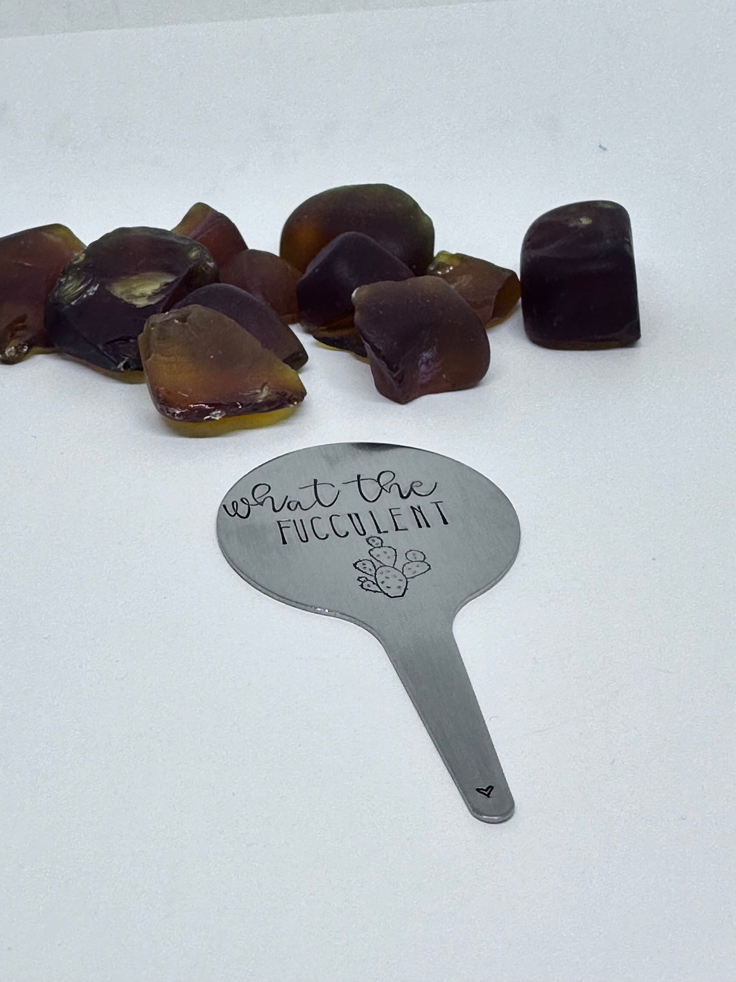 Plant Stake | Hand Stamped Stainless Steel | Adult Humor | Horticultural Gift | Plant Lover | Cactus Plant Accessory