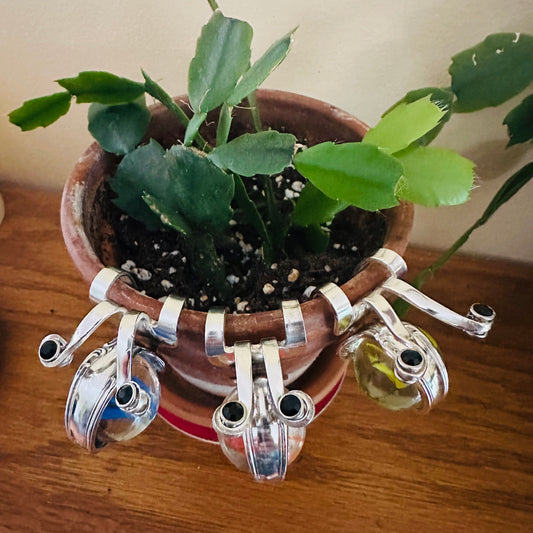 Potted cactus with yellow, orange and blue glass marble snail plant decor on potted plant featuring the crystal eyes visible from above