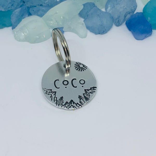 Custom Order for Sam - Coco Pet Tag - Hand Stamped Dog Tag